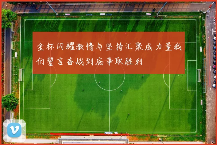 金杯闪耀激情与坚持汇聚成力量我们誓言奋战到底争取胜利