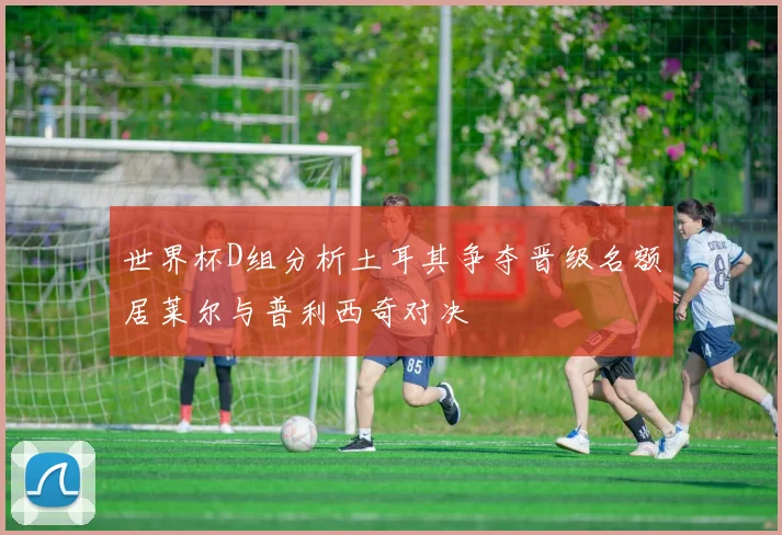 世界杯D组分析土耳其争夺晋级名额居莱尔与普利西奇对决